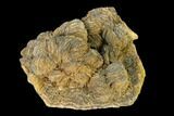 Pyrite Encrusted Barite Crystal Cluster - Lubin Mine, Poland #148313-1